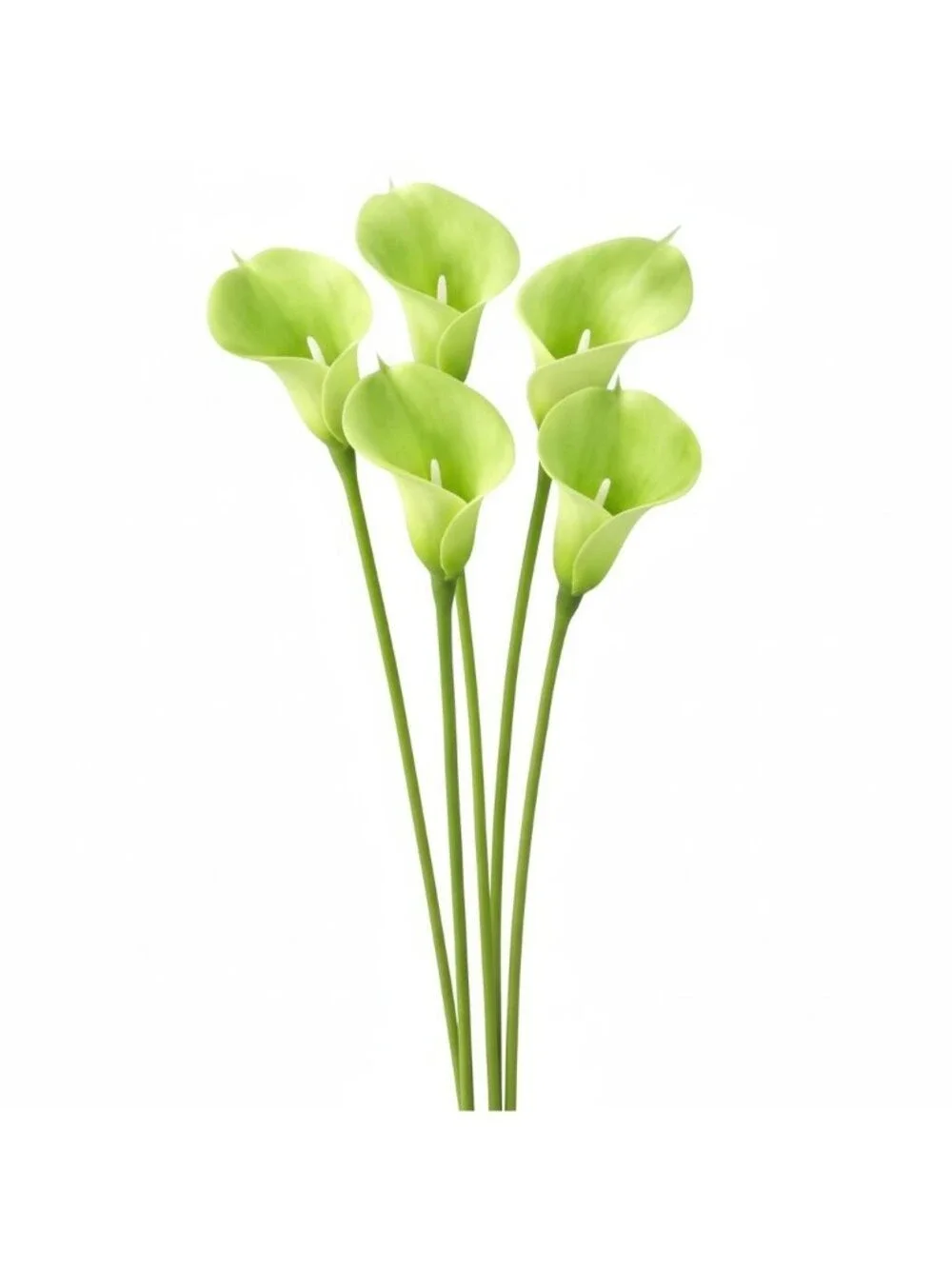 Artificial Green Calla Lily Stems, Real Touch Faux Flowers, 15 Inch, Set of 5